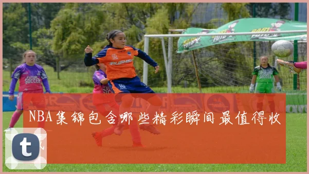NBA集锦包含哪些精彩瞬间最值得收藏