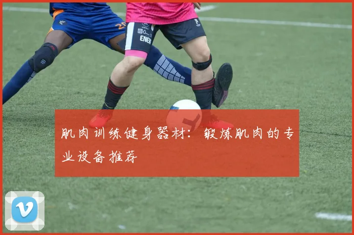 肌肉训练健身器材：锻炼肌肉的专业设备推荐